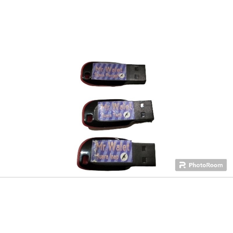 SUARA PANGGIL, TARIK, & INAP MR Walet