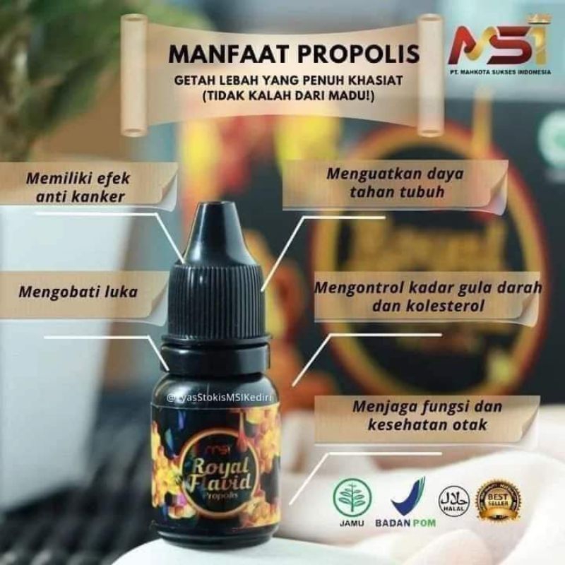 Royal Plavid Propolis MSI (3botol)