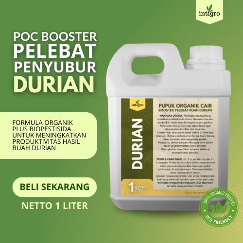 Pupuk Durian Supaya Cepat Berbuah / Pupuk Durian Supaya Subur dan Berbuah / Pupuk Durian Cepat Besar