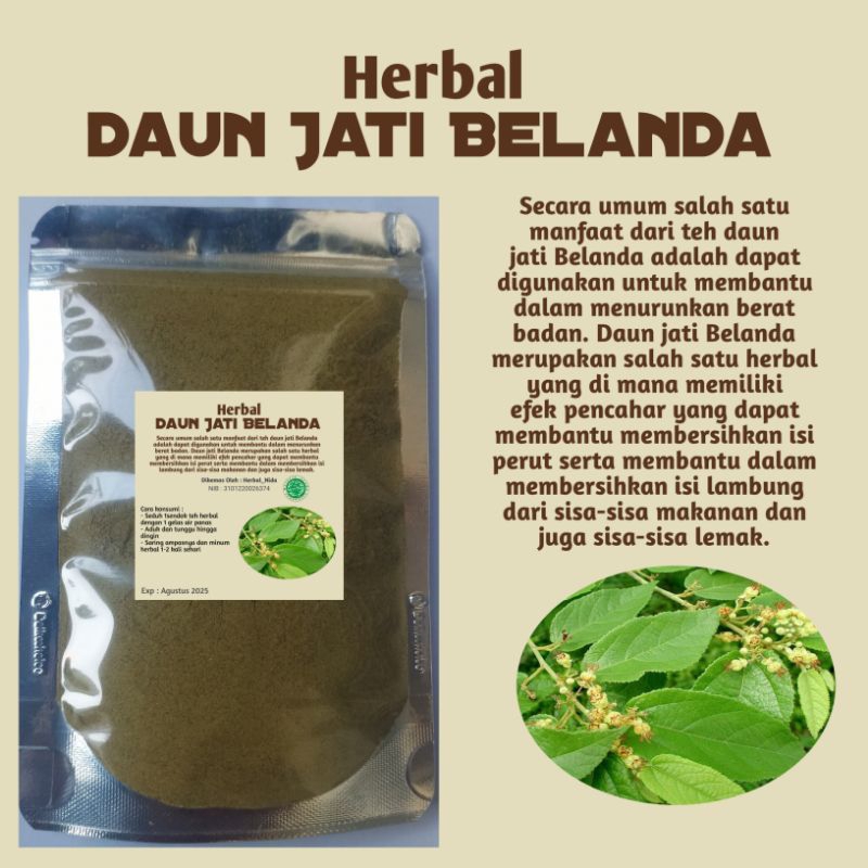 

Herbal Daun Jati Belanda 50 Gram