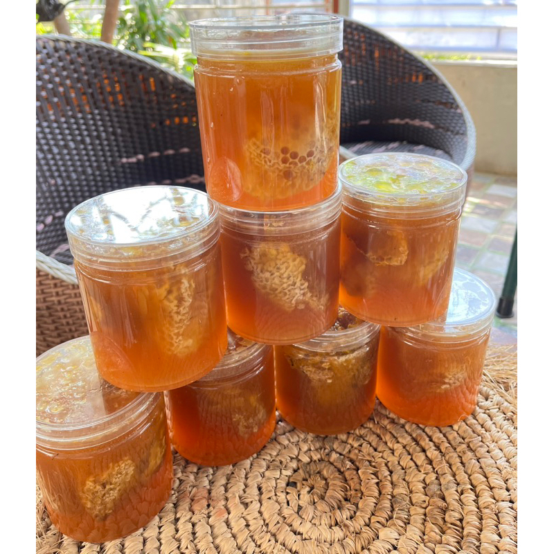 

Madu hutan asli sumbawa, madu putih, madu kuning dan madu hitam