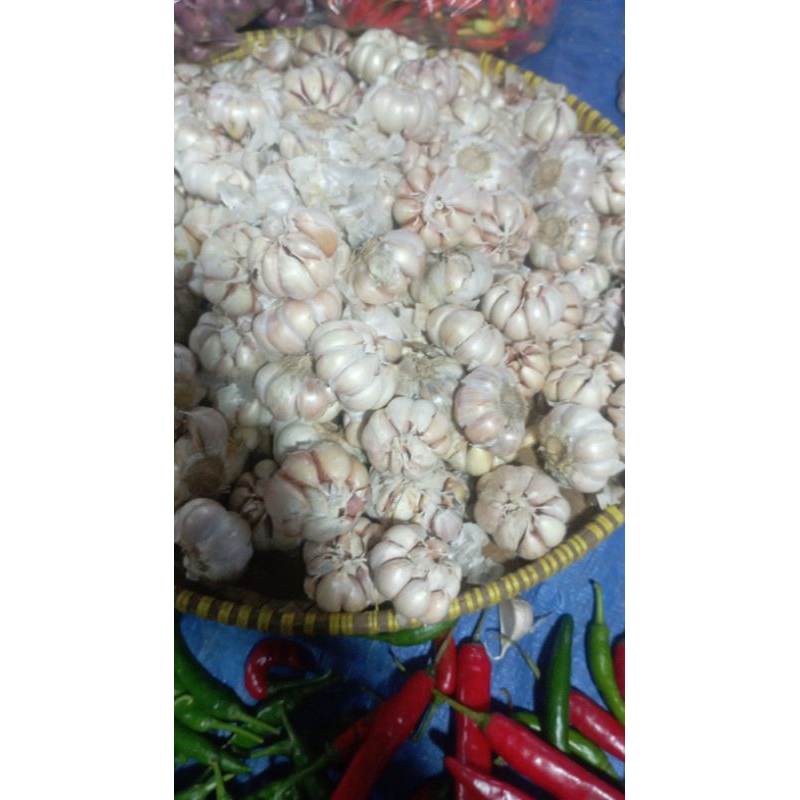 

bawang putih 10 ton