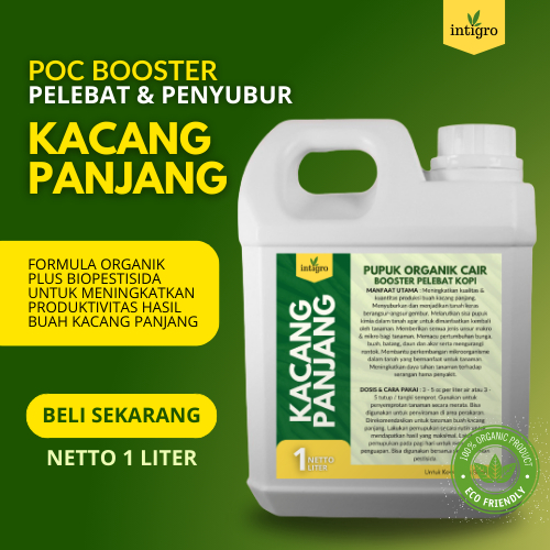 Pupuk Kacang Panjang / Pupuk Buah Kacang Panjang / Obat Pelebat Kacang Panjang Tanpa Hama dan Penyak