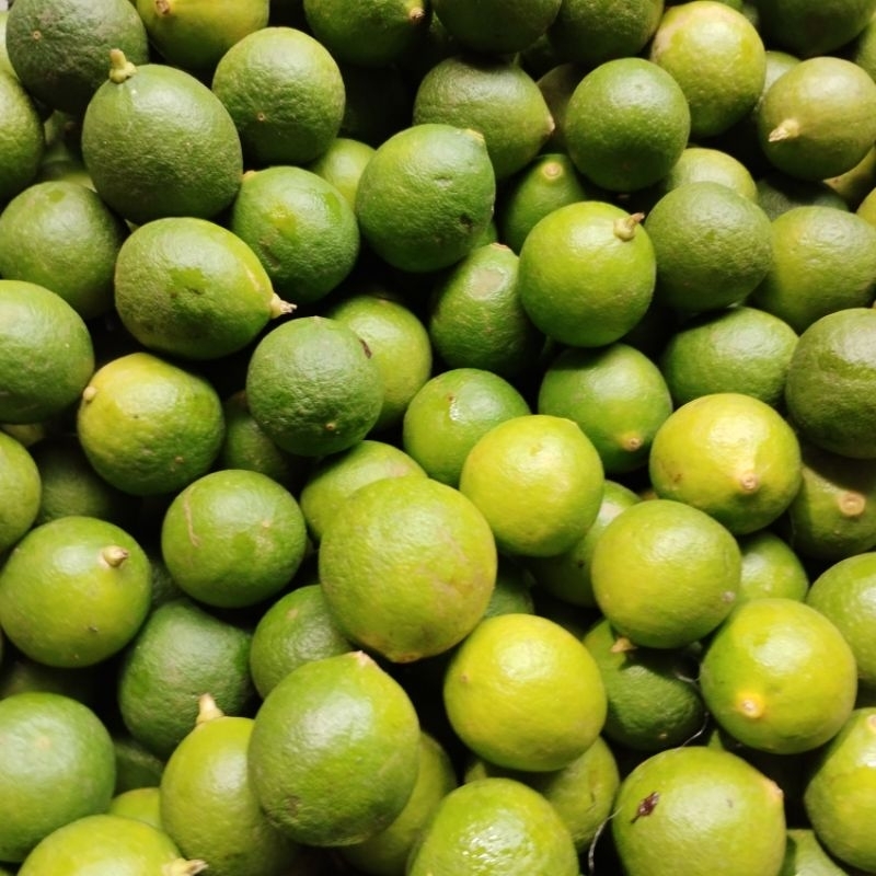 

1 kg Jeruk Nipis / Lime