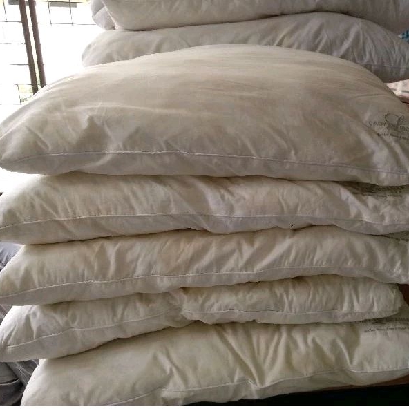 Bantal Lady Americana ex Hotel