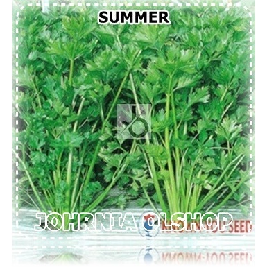Johrnia 100 Benih Biji Seledri SUMMER