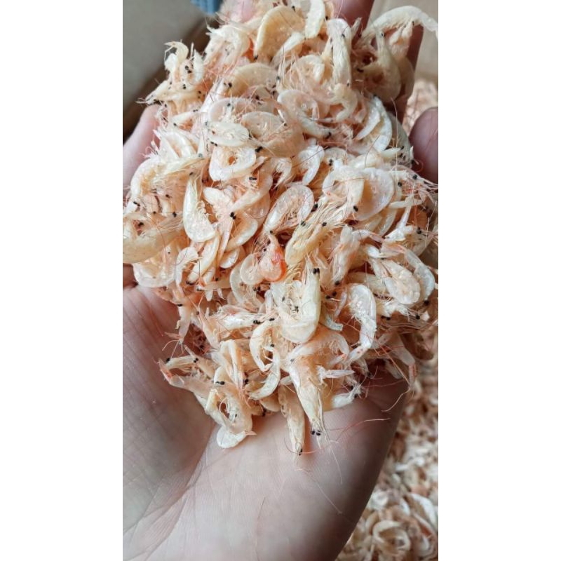 

teri udang rebon ebi udang kering asin 100 gram Rp5000