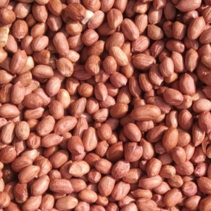 

Kacang tanah berkualitas super 500 gr