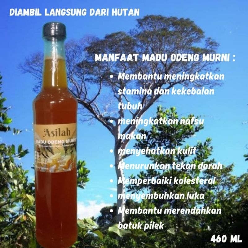 

ASILAH_madu Odeng murni 460ml