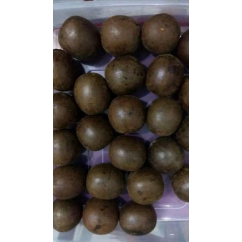 

Lo han kuo/Lo han ko/lo han guo jumbo premium