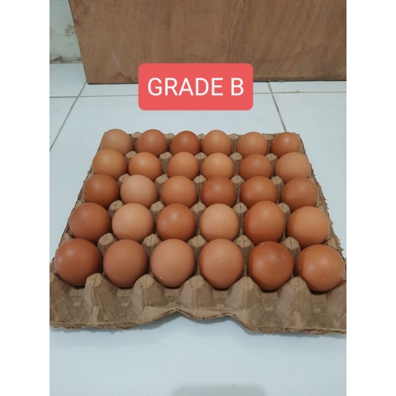 

Telur Ayam Grade B