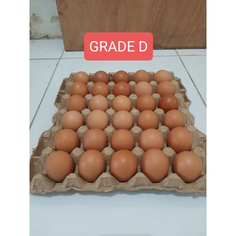 

Telur ayam Grade D