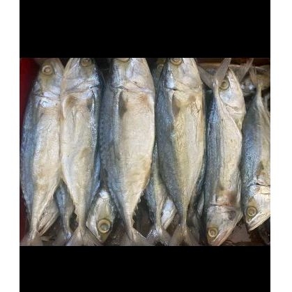

ikan asin peda