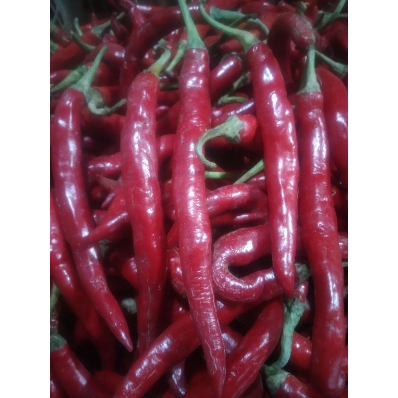 

250gram, cabe merah besar segar.