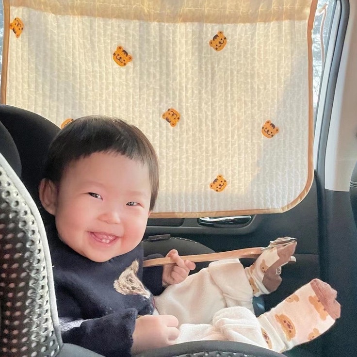 rd Gorden Penutup Jendela Mobil Karakter Lucu  Tirai Mobil Sun Screen Bayi Anti UV  Portable Car Cur