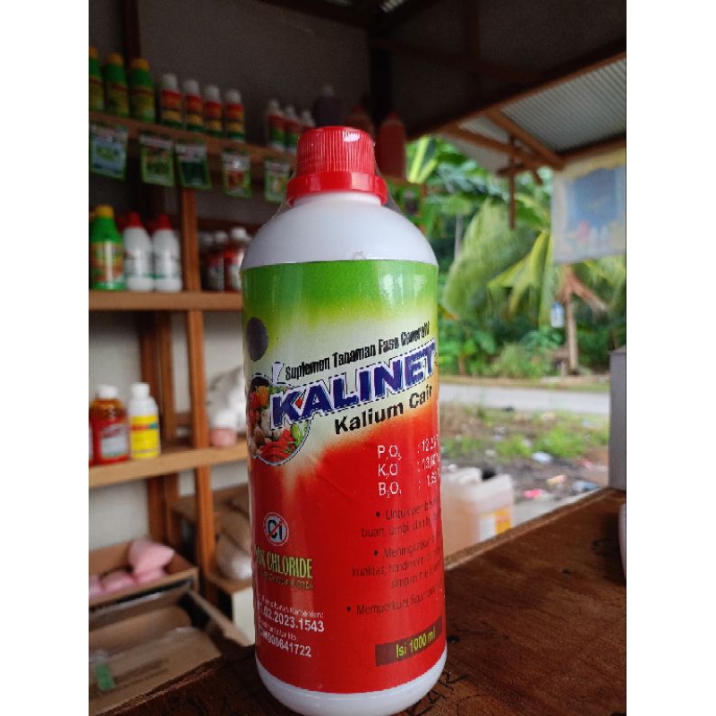 Kalinet 1L
