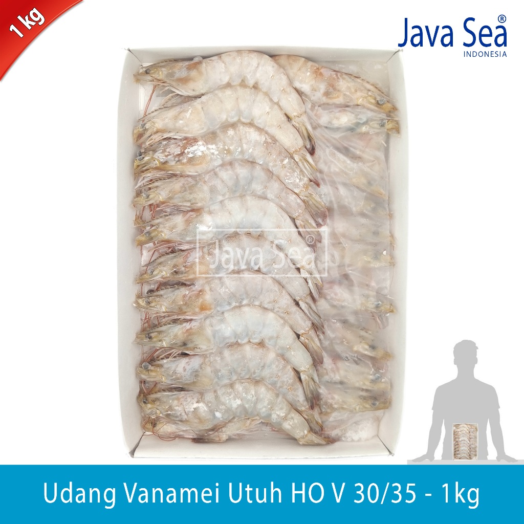 

Udang Vanamei Utuh Ada Kepala HO V 30/35 pack 1kg Java Sea