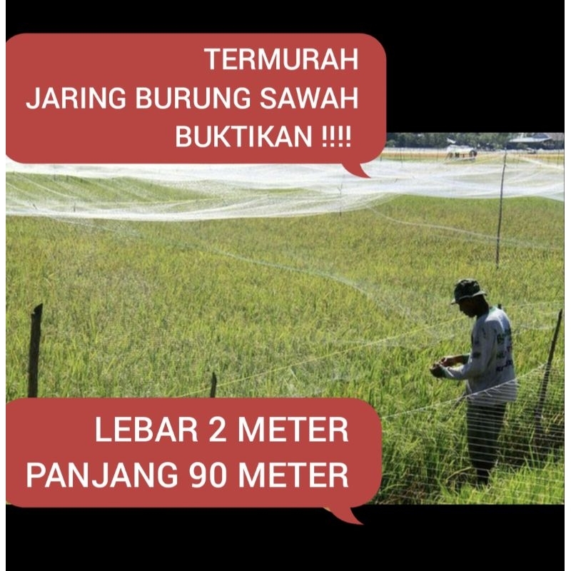 JARING SAWAH TERMURAH JARING PADI JARING BURUNG JARING PELINDUNG PADI JARING PERANGKAP PADI