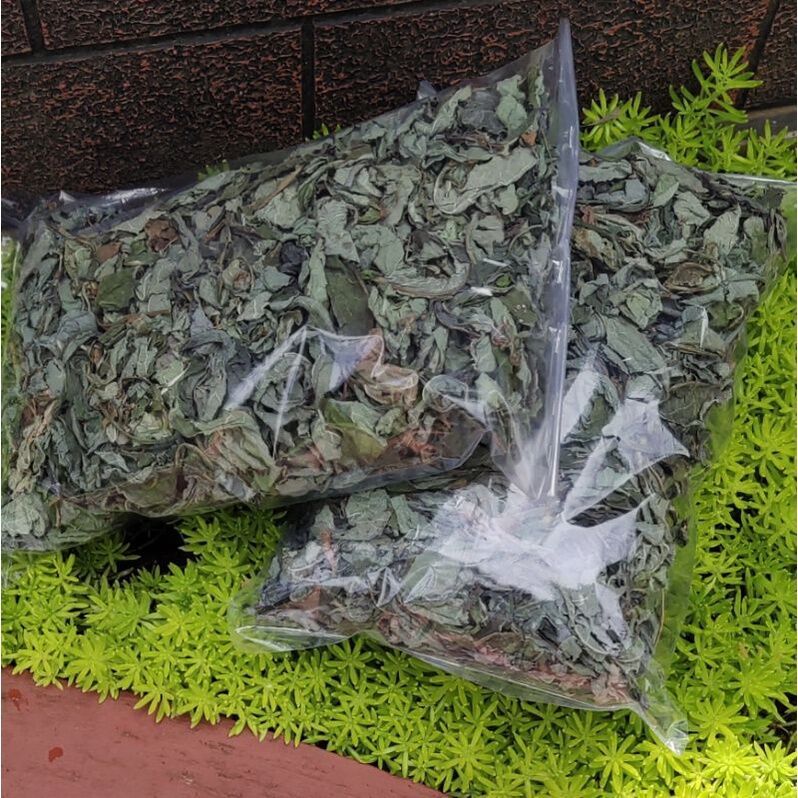 

Daun waru kering