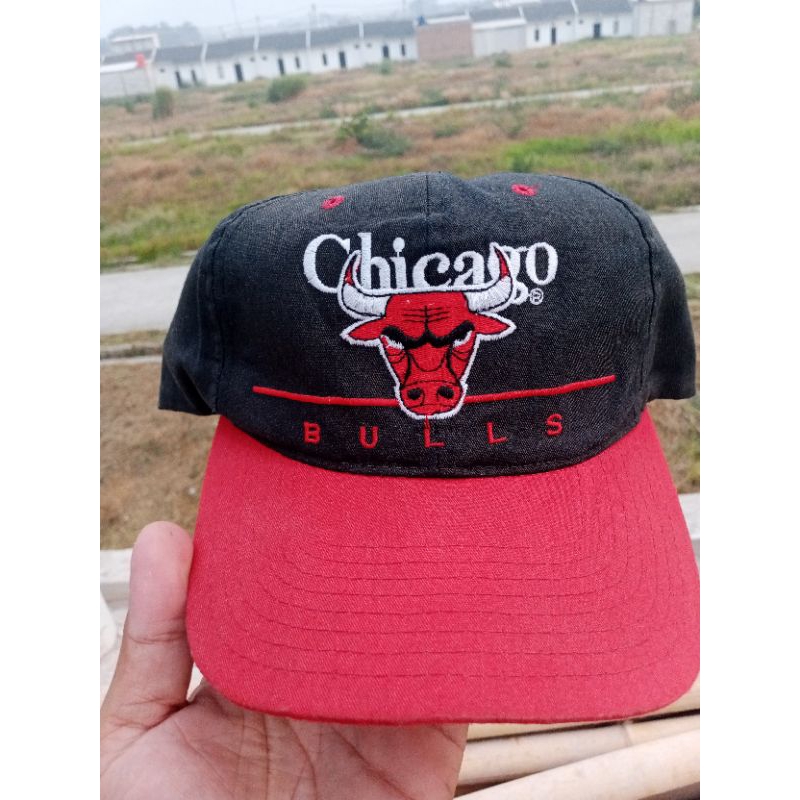 Chicago Bulls vintage