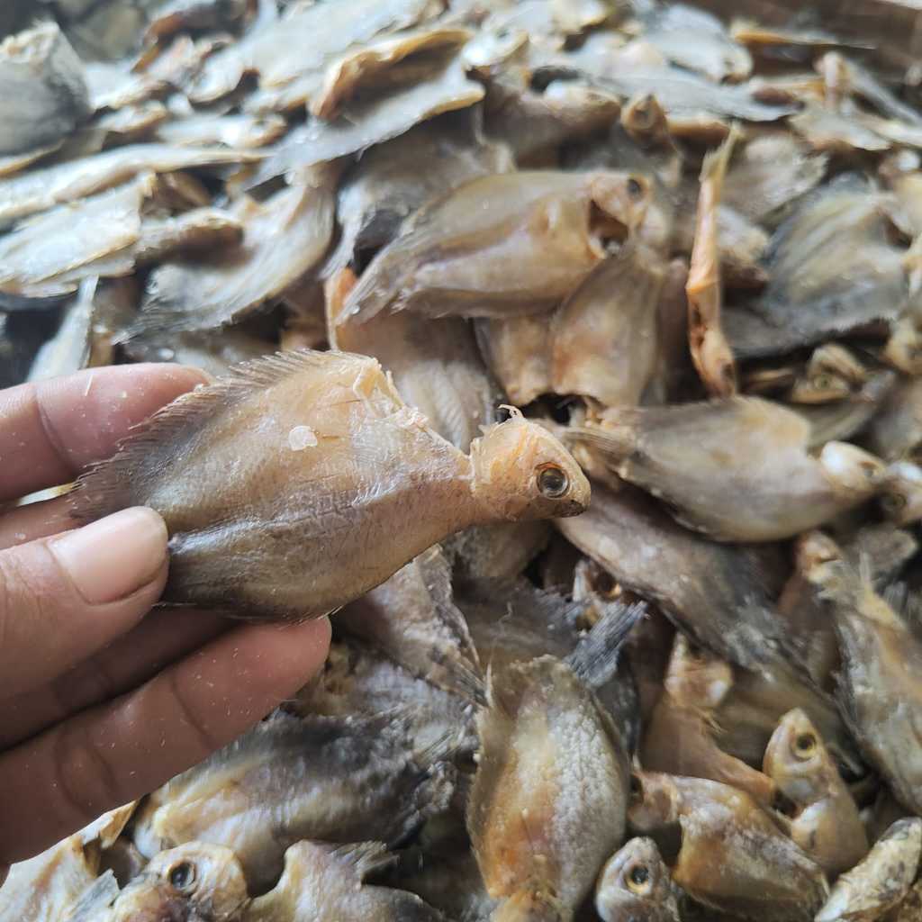 

Ikan Asin Sepat Kecil 500gr