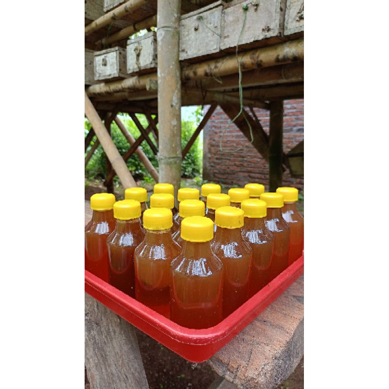 

Madu Lebah Klanceng
