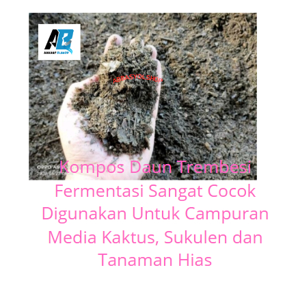 Kompos Daun Trembesi Fermentasi