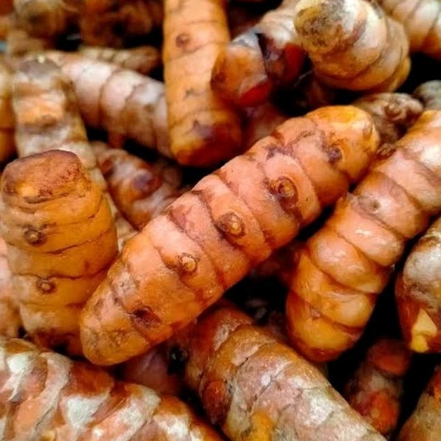 

kunyit/kunir fresh 1kg