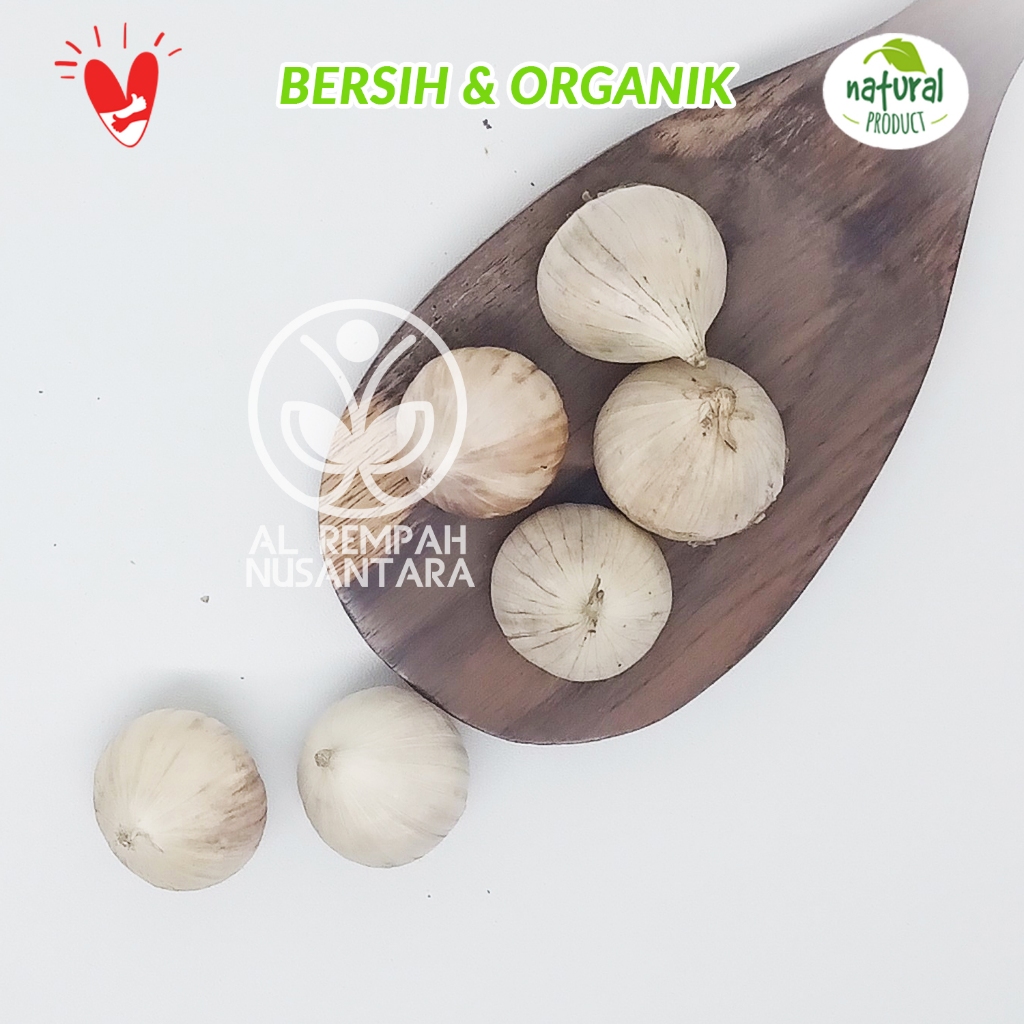 

Bawang Lanang Super 1kg - Lebih Tua Lebih Jos