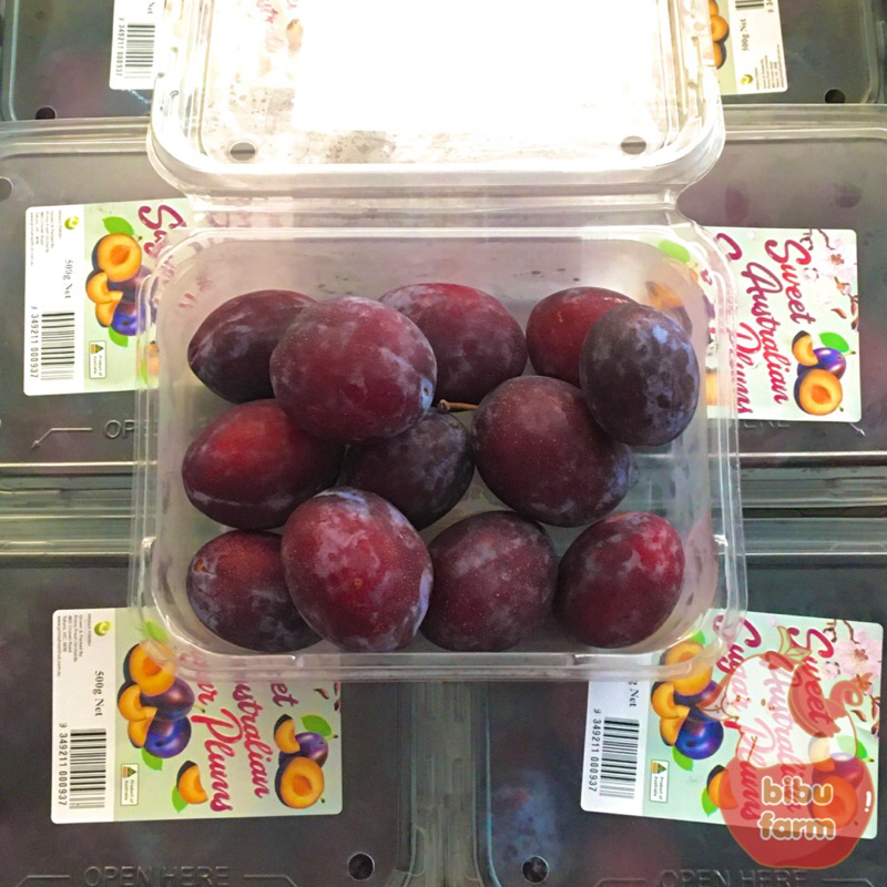 

Plum Sugar Sweet Australian Berat 500 Gram/Pack