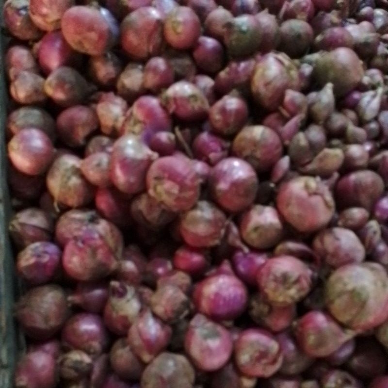 

bawang merah 40000/kg