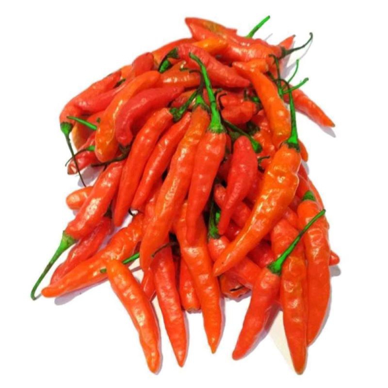 

Cabai Rawit Merah