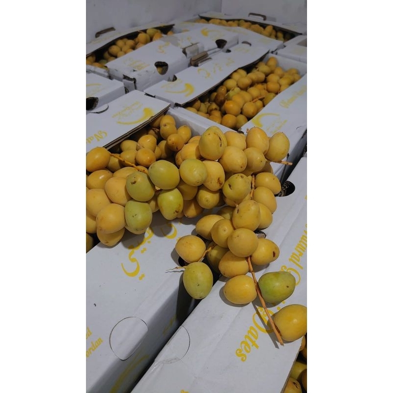 

kurma muda promil 1kg