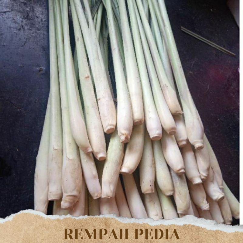 

Sereh Segar Serai Jumbo 1kg