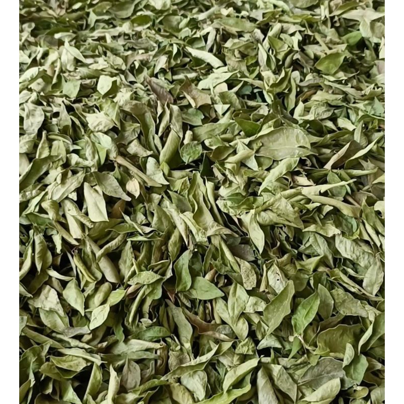 

DAUN KARE SALAM KOJA ATAU TEMURUI 1 KG KERING
