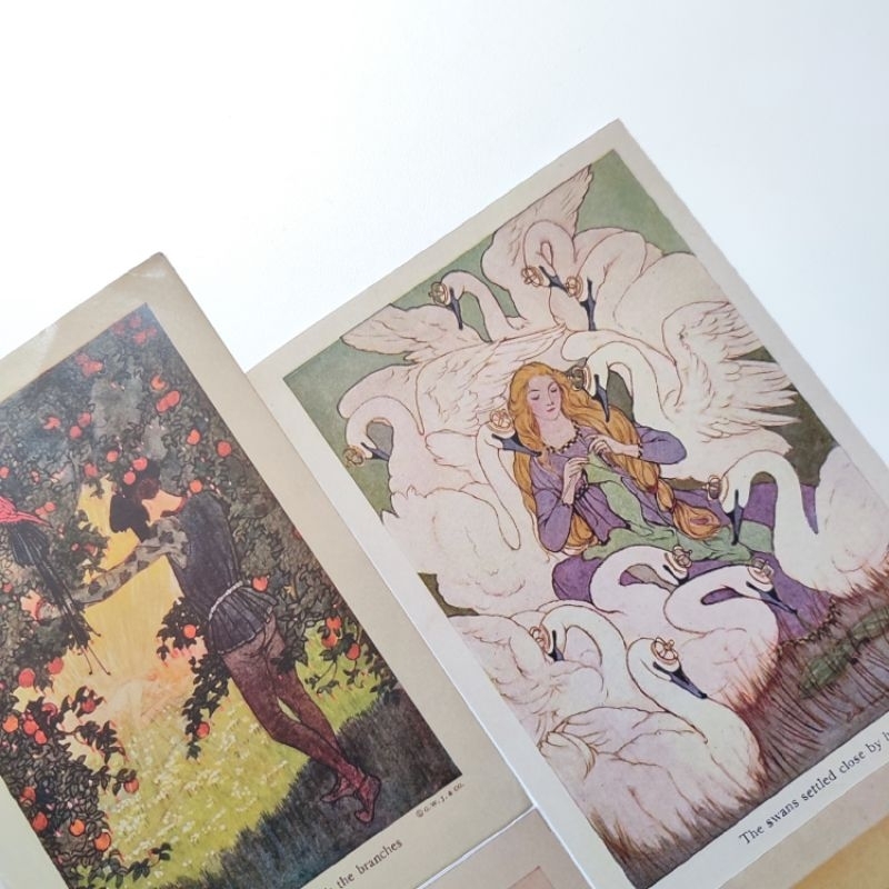 

Vintage illustration book