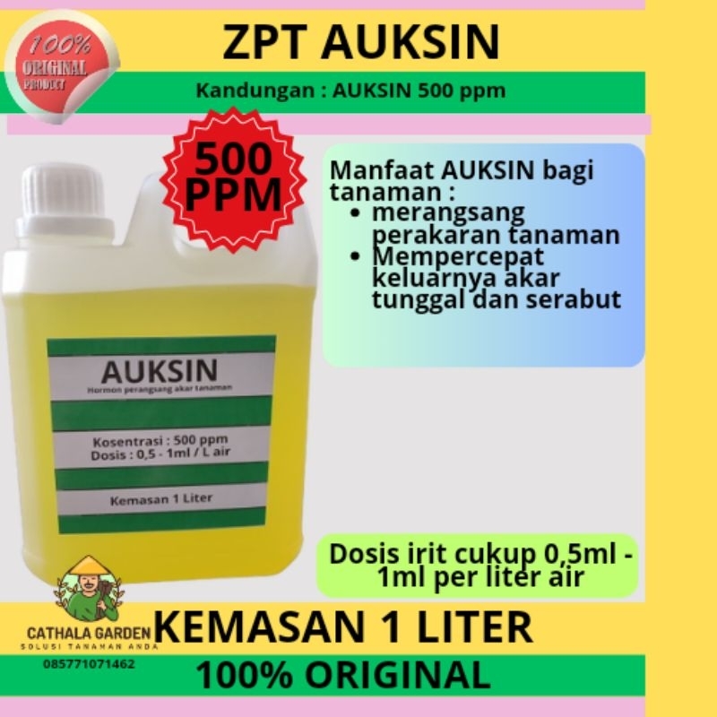 ZPT HORMON AUKSIN 500PPM KEMASAN 1 LITER | KHUSUS UNTUK TANAMAN (AUXIN) "SEKARANG CAIRAN BERWARNA KU