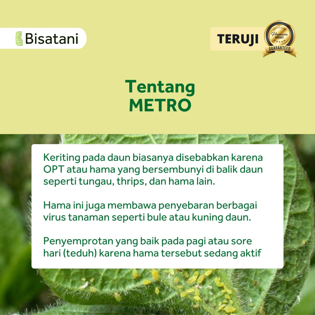 Obat Pencegah Keriting Daun/ Obat Tanaman Cabai, Padi/ Obat Insektisida Pestisida untuk Cabai Padi