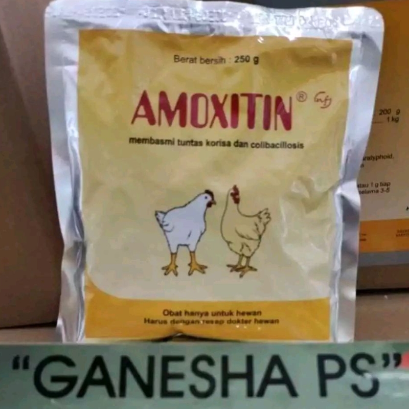 AMOXITIN 250 gr,