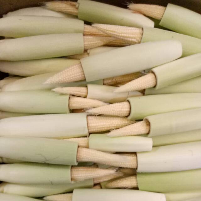 

Jagung baby futren 500gr anak jagung/jagung futren murah/anak jagung promo 250gram/jagung sayur