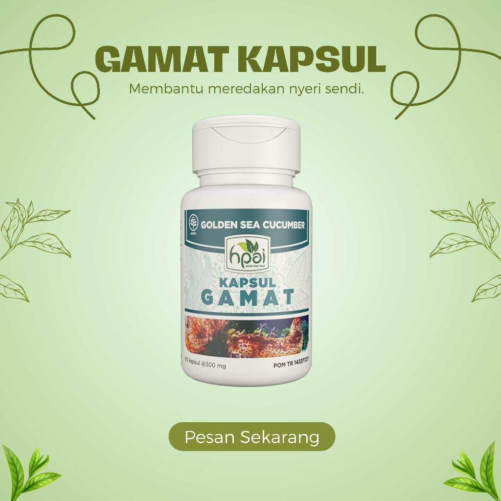Obat Nyeri Sendi - GAMAT KAPSUL - HNI