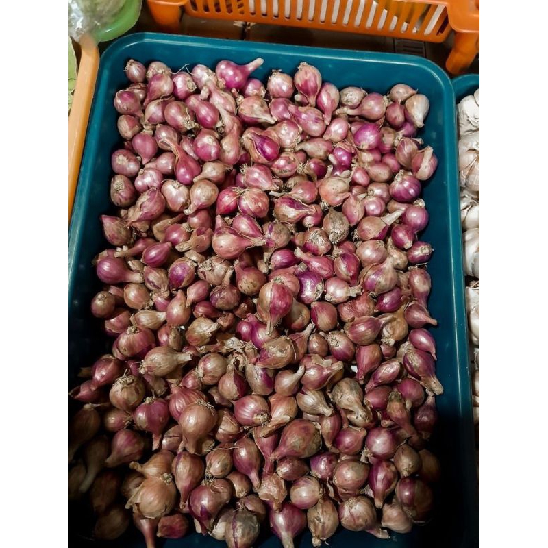 

Bawang Merah dan Bawang Putih