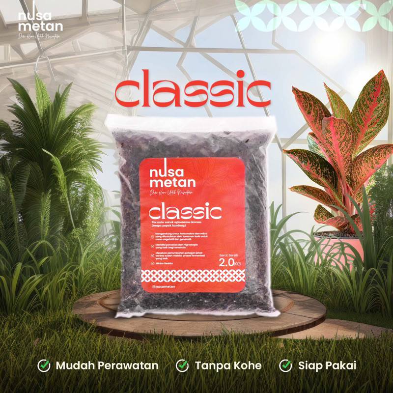 Media Tanam Premium Aglaonema Siap Pakai - Classic Nusametan
