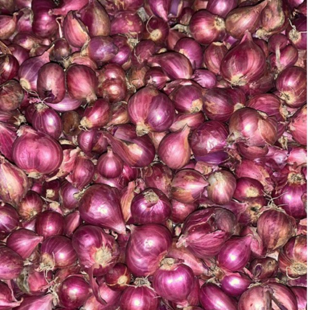 

BAWANG MERAH SUPER PREMIUM PROBOLINGGO 1KG