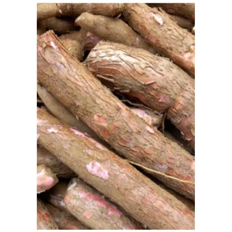 

singkong cocok untuk di goreng buat kripik 1kg