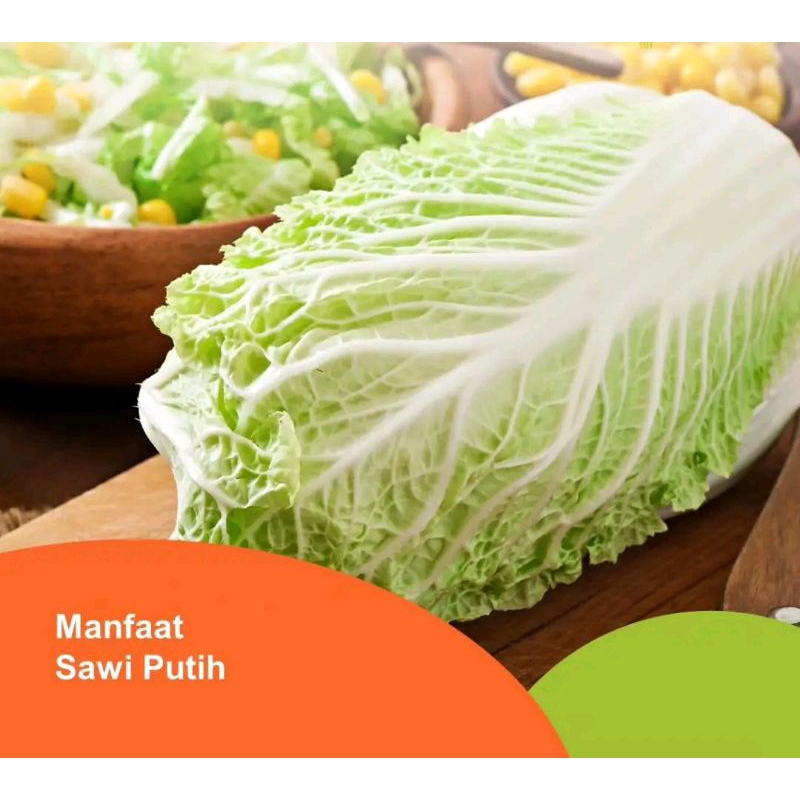 

sawi putih-sawi fresh-besei-sayuran segar 1 kg