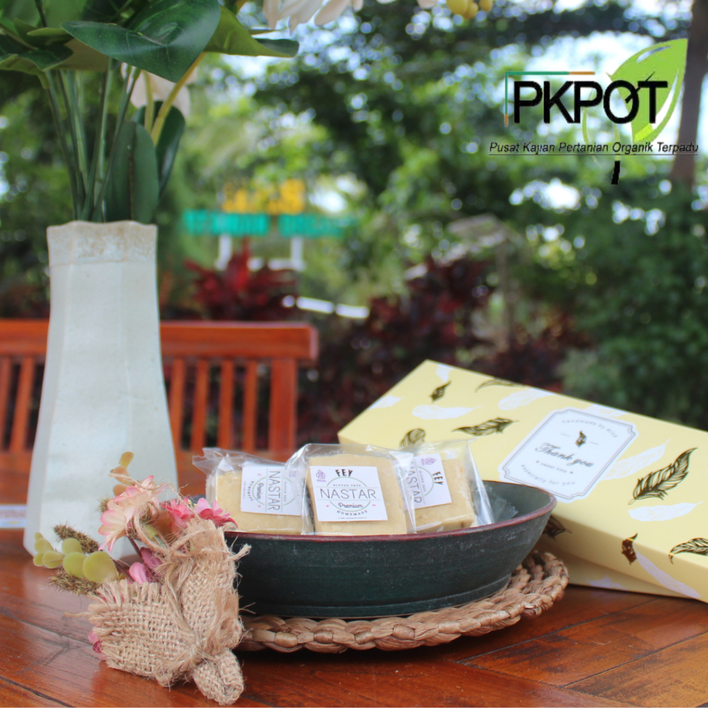 

PKPOT - NASTAR GLUTEN FREE PREMIUM FEY
