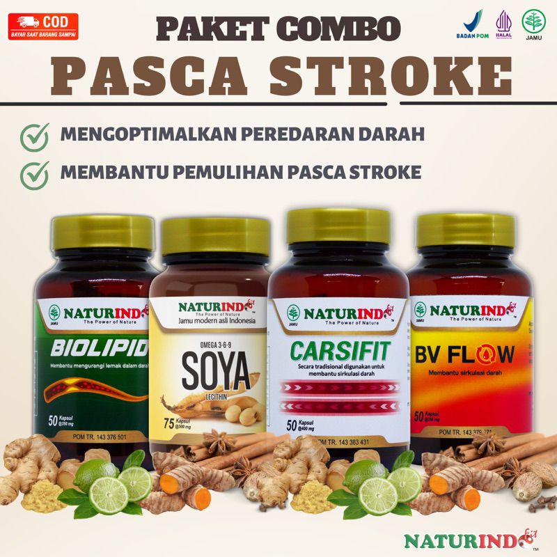Paket Obat Penyumbatan Saraf Otak Struk Herbal Ampuh Stroke Ringan Dan Berat Penyembuhan Pasca Strok