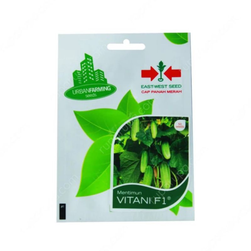 Benih Timun Vitani F1- Panah Merah