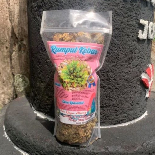

Rumput Kebar 50gr Asli Papua penyubur kandungan